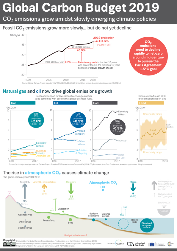 Infographic of carbon emissions for 2019