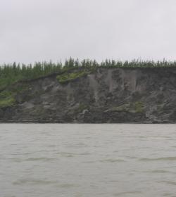 Riverbank sediment deposits