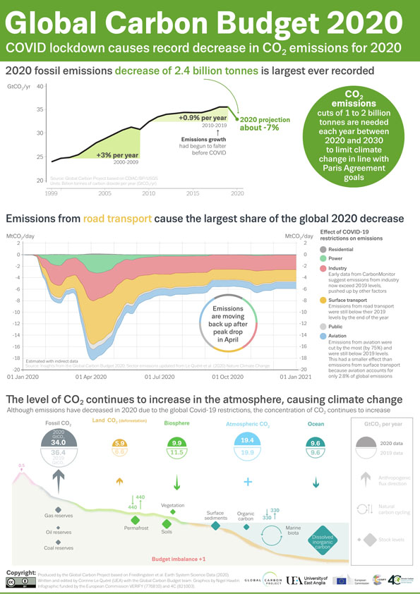 Infographic of carbon emissions for 2020