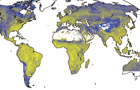 Carbon and other biogeochemical cycles