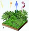 Radiative Forcing