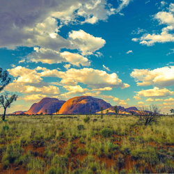 Semi-arid region of Central Australia