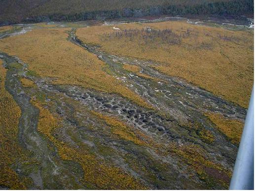 Frozen Sediments in Eastern Siberia