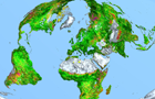 part of earth showing change in leaf area