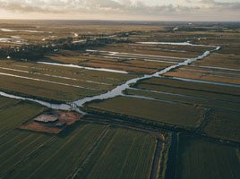 Irrigated crops