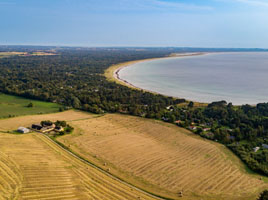 Crops near lake