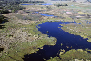 wetlands