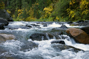 river rapids