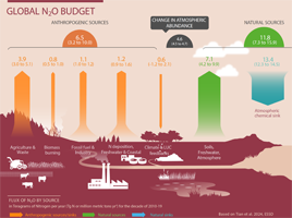 budget infographic